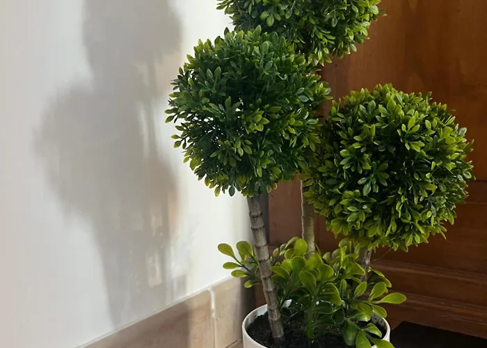 Bed & Breakfast Viale Roma - Roomexperience *